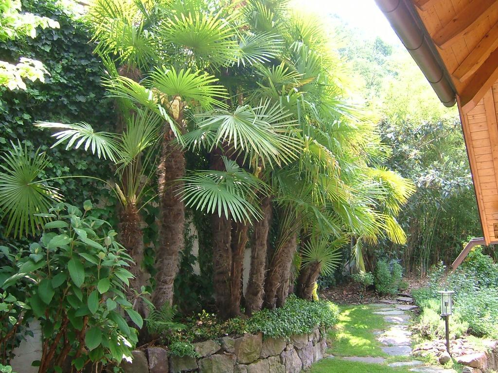 Villa Sissi Laives Luaran gambar